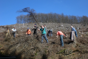 Holzstellen 2011